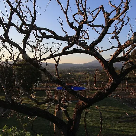Quinta Miranda Casa de Férias